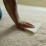 A No-nonsense Guide to Removing Carpet Stains Without the Hype
